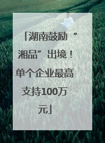 湖南鼓励“湘品”出境！单个企业最高支持100万元