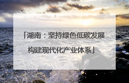 湖南：坚持绿色低碳发展 构建现代化产业体系