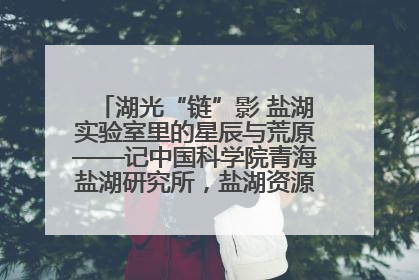 湖光“链”影 盐湖实验室里的星辰与荒原——记中国科学院青海盐湖研究所，盐湖资源化学实验室党总支书记、副主任刘忠