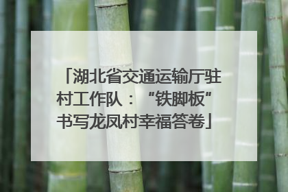 湖北省交通运输厅驻村工作队：“铁脚板”书写龙凤村幸福答卷