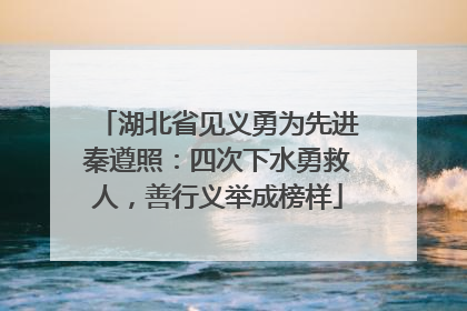 湖北省见义勇为先进秦遵照：四次下水勇救人，善行义举成榜样