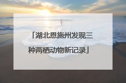 湖北恩施州发现三种两栖动物新记录