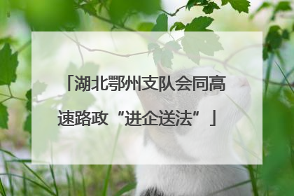 湖北鄂州支队会同高速路政“进企送法”