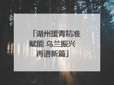 湖州援青精准赋能 乌兰振兴再谱新篇