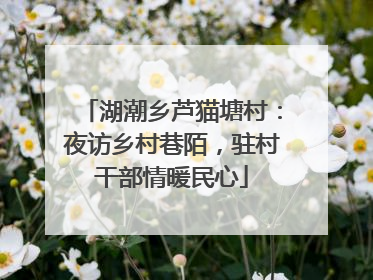 湖潮乡芦猫塘村：夜访乡村巷陌，驻村干部情暖民心
