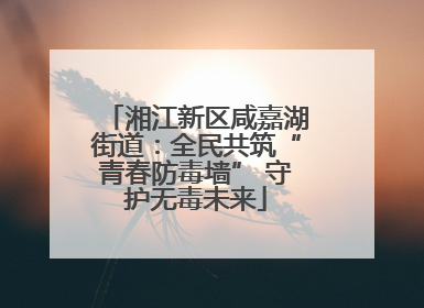 湘江新区咸嘉湖街道：全民共筑“青春防毒墙” 守护无毒未来