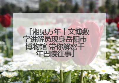湘见万年丨文博数字讲解员现身岳阳市博物馆 带你解密千年巴陵往事