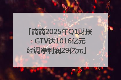 滴滴2025年Q1财报：GTV达1016亿元 经调净利润29亿元