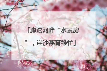 滹沱河畔“水景房”，崖沙燕育雏忙