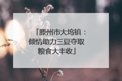 滕州市大坞镇：倾情助力三夏夺取粮食大丰收