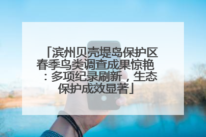 滨州贝壳堤岛保护区春季鸟类调查成果惊艳：多项纪录刷新，生态保护成效显著