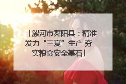 漯河市舞阳县：精准发力“三夏”生产 夯实粮食安全基石