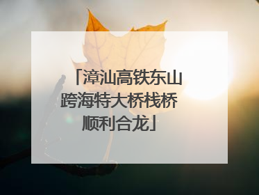 漳汕高铁东山跨海特大桥栈桥顺利合龙