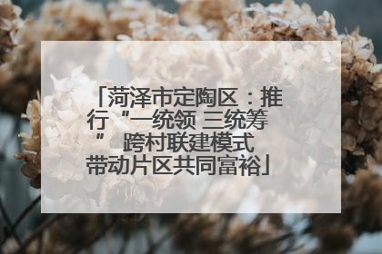 菏泽市定陶区：推行“一统领 三统筹” 跨村联建模式 带动片区共同富裕