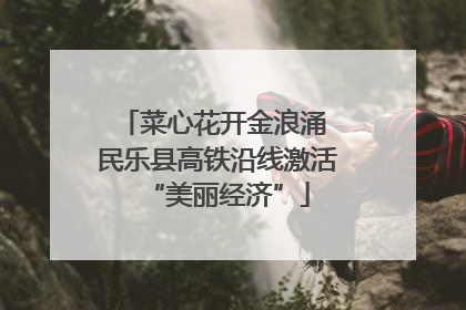 菜心花开金浪涌 民乐县高铁沿线激活“美丽经济”