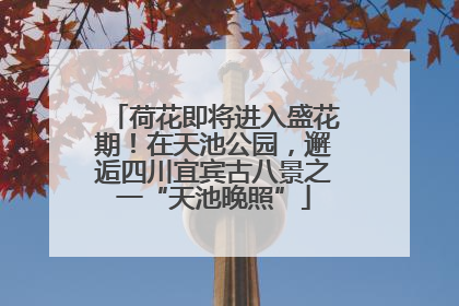 荷花即将进入盛花期！在天池公园，邂逅四川宜宾古八景之一“天池晚照”