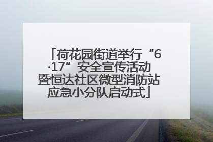 荷花园街道举行“6·17”安全宣传活动暨恒达社区微型消防站应急小分队启动式