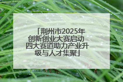 荆州市2025年创新创业大赛启动 四大赛道助力产业升级与人才集聚