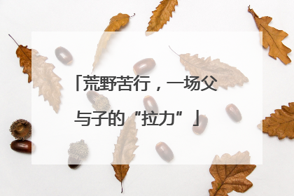 荒野苦行，一场父与子的“拉力”