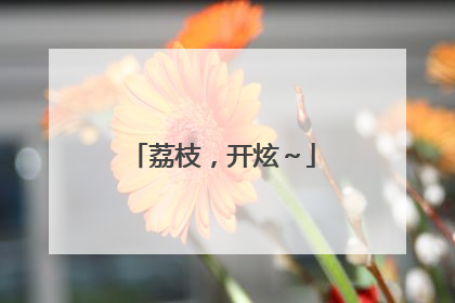 荔枝，开炫～