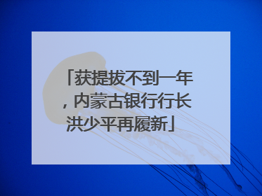 获提拔不到一年，内蒙古银行行长洪少平再履新