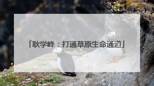 耿学峰：打通草原生命通道