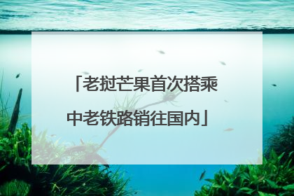 老挝芒果首次搭乘中老铁路销往国内