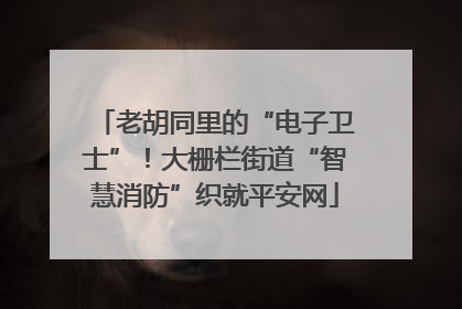 老胡同里的“电子卫士”！大栅栏街道“智慧消防”织就平安网