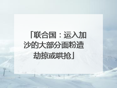联合国：运入加沙的大部分面粉遭劫掠或哄抢