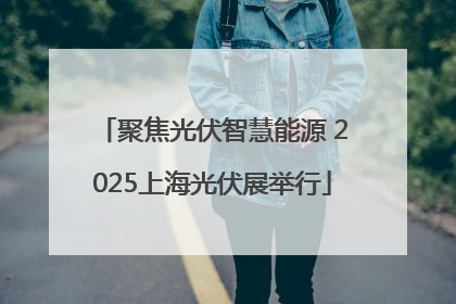 聚焦光伏智慧能源 2025上海光伏展举行