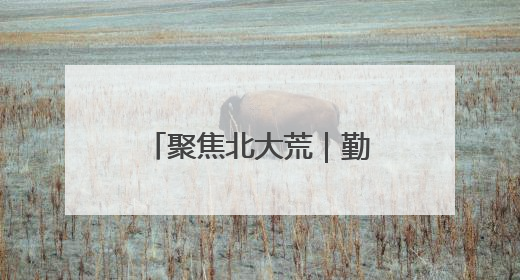 聚焦北大荒｜勤得利农场开展“廉政教育+科技赋能”主题党日活动