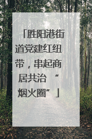 胜阳港街道党建红纽带，串起商居共治 “烟火圈”