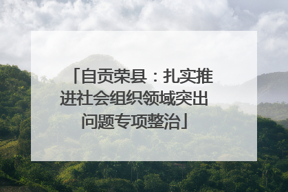 自贡荣县：扎实推进社会组织领域突出问题专项整治