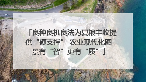 良种良机良法为夏粮丰收提供“硬支撑” 农业现代化图景有“智”更有“质”