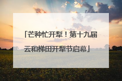 芒种忙开犁！第十九届云和梯田开犁节启幕