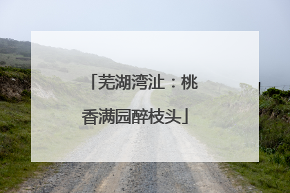 芜湖湾沚：桃香满园醉枝头