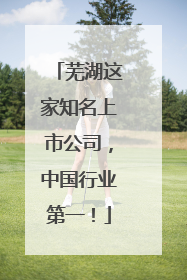 芜湖这家知名上市公司，中国行业第一！