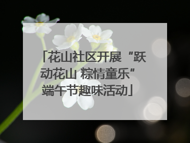 花山社区开展“跃动花山 粽情童乐”端午节趣味活动