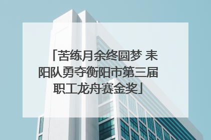 苦练月余终圆梦 耒阳队勇夺衡阳市第三届职工龙舟赛金奖