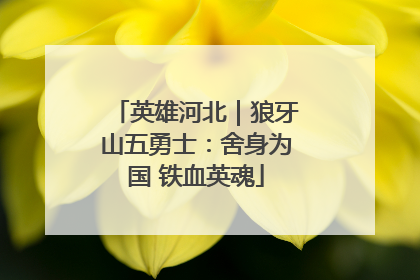 英雄河北｜狼牙山五勇士：舍身为国 铁血英魂