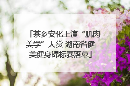 茶乡安化上演“肌肉美学”大赏 湖南省健美健身锦标赛落幕