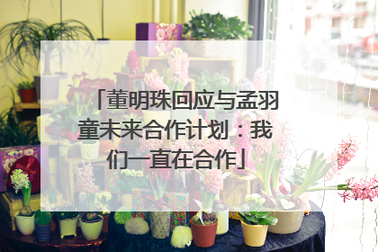 董明珠回应与孟羽童未来合作计划：我们一直在合作