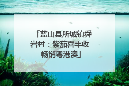 蓝山县所城镇舜岩村：紫茄喜丰收 畅销粤港澳