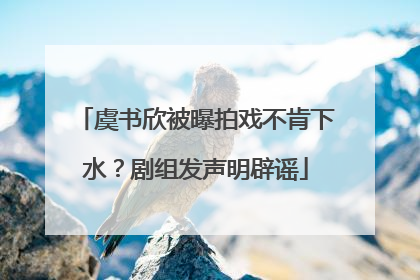虞书欣被曝拍戏不肯下水？剧组发声明辟谣