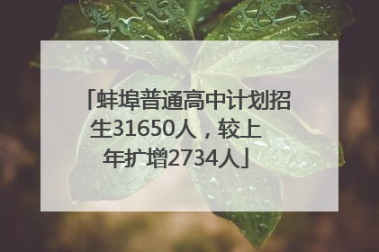 蚌埠普通高中计划招生31650人，较上年扩增2734人