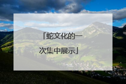 蛇文化的一次集中展示