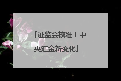 证监会核准！中央汇金新变化