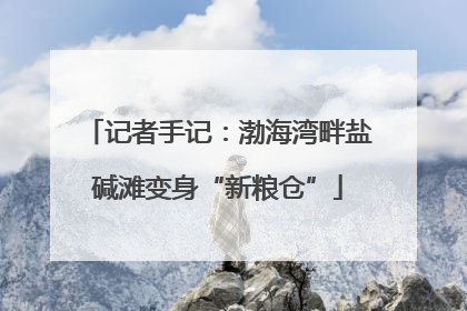 记者手记：渤海湾畔盐碱滩变身“新粮仓”