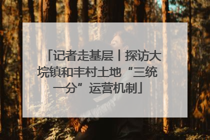 记者走基层丨探访大垸镇和丰村土地“三统一分”运营机制