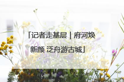记者走基层｜府河焕新颜 泛舟游古城